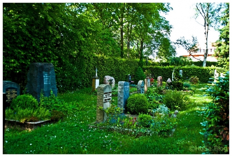 Impression aus dem Jahr 2015 vom Friedhof Hohenheim