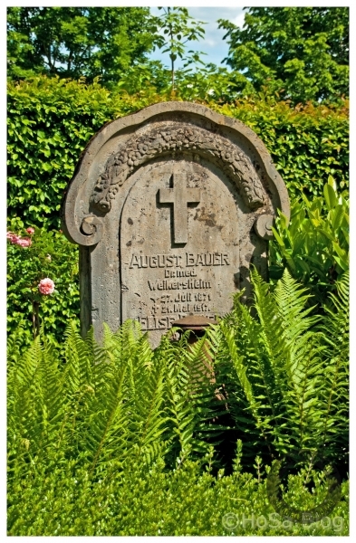 altes Grab auf dem Friedhof der Uni Hohenheim