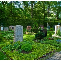 Impression aus dem Jahr 2015 vom Friedhof Hohenheim